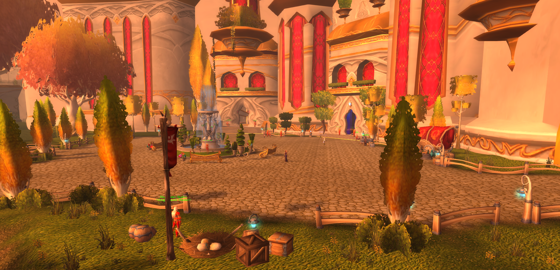 This is outside the entrance of Silvermoon, which is the Horde home of the Blood Elf.